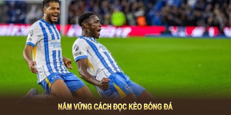 Nắm vững cách đọc kèo bóng đá giúp tăng lợi thế